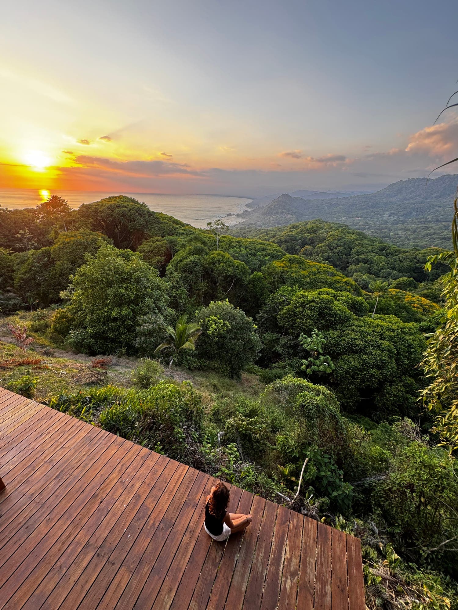 Jungle falling to the ocean at sunset