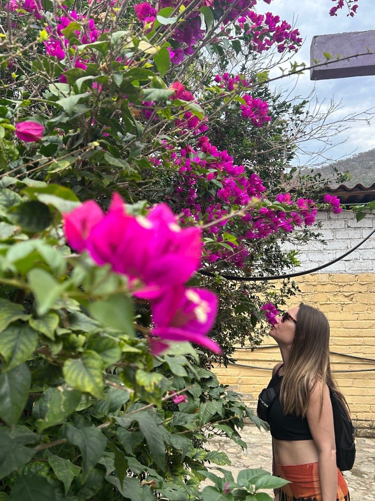 Rachel smiling up beside a tumble of pink bougainvillea
