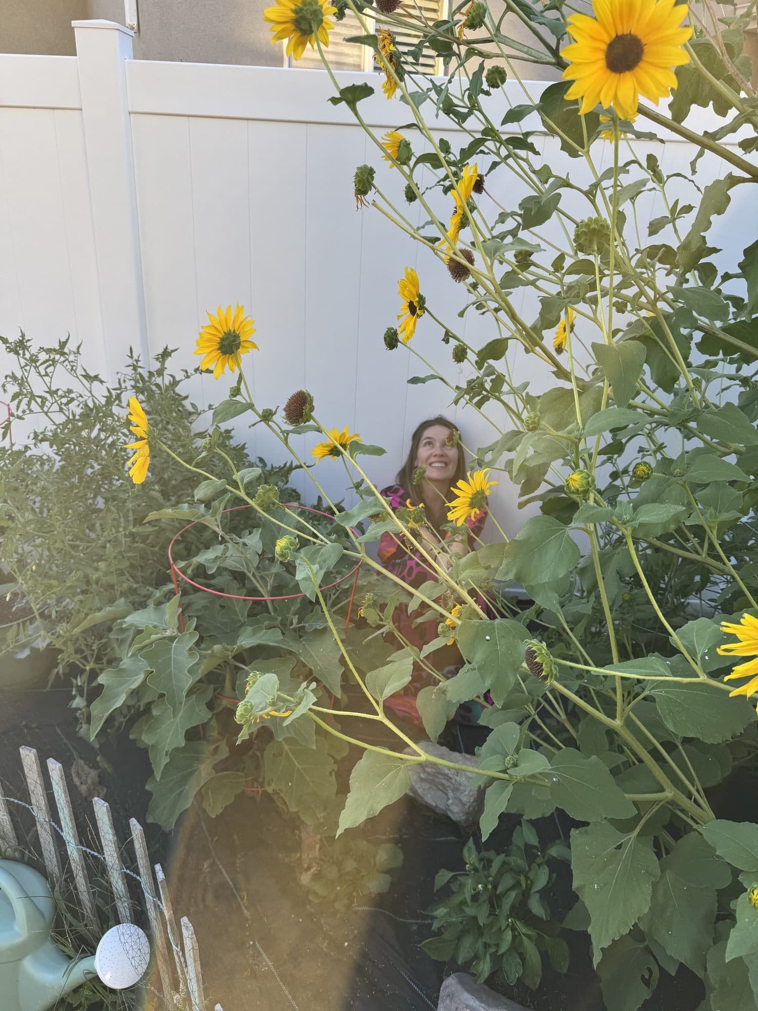 Rachel sitting among tall sunflowers in front of a white garden fence, smiling