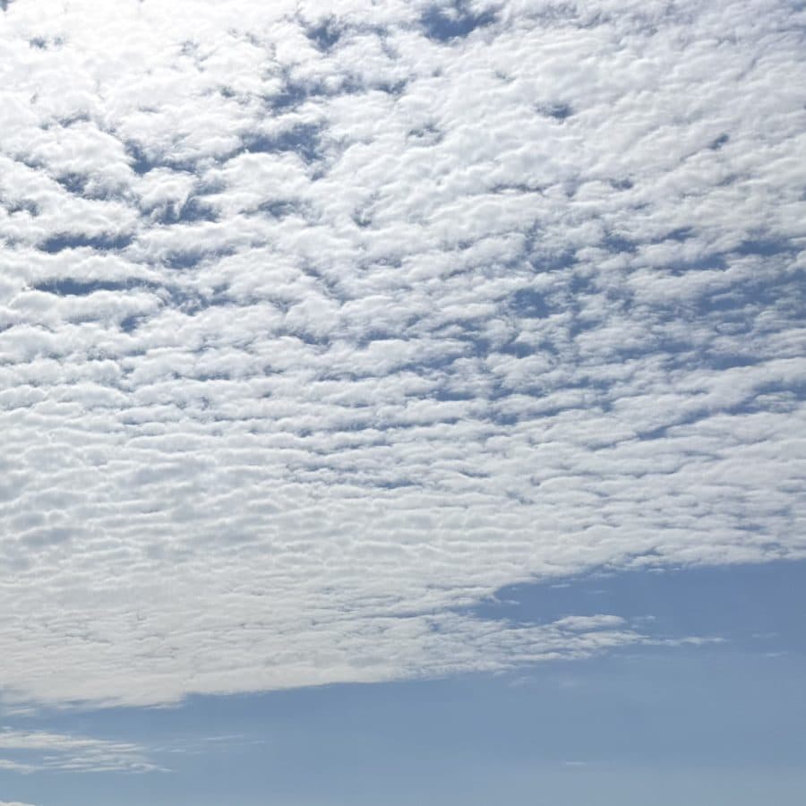 A sky full of small scattered clouds