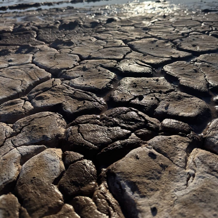Cracked earth drying at the water's edge