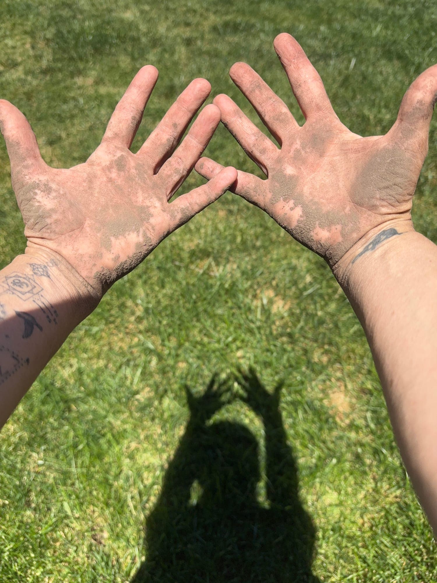 Rachel's open hands dusted with garden soil, their shadows on the grass
