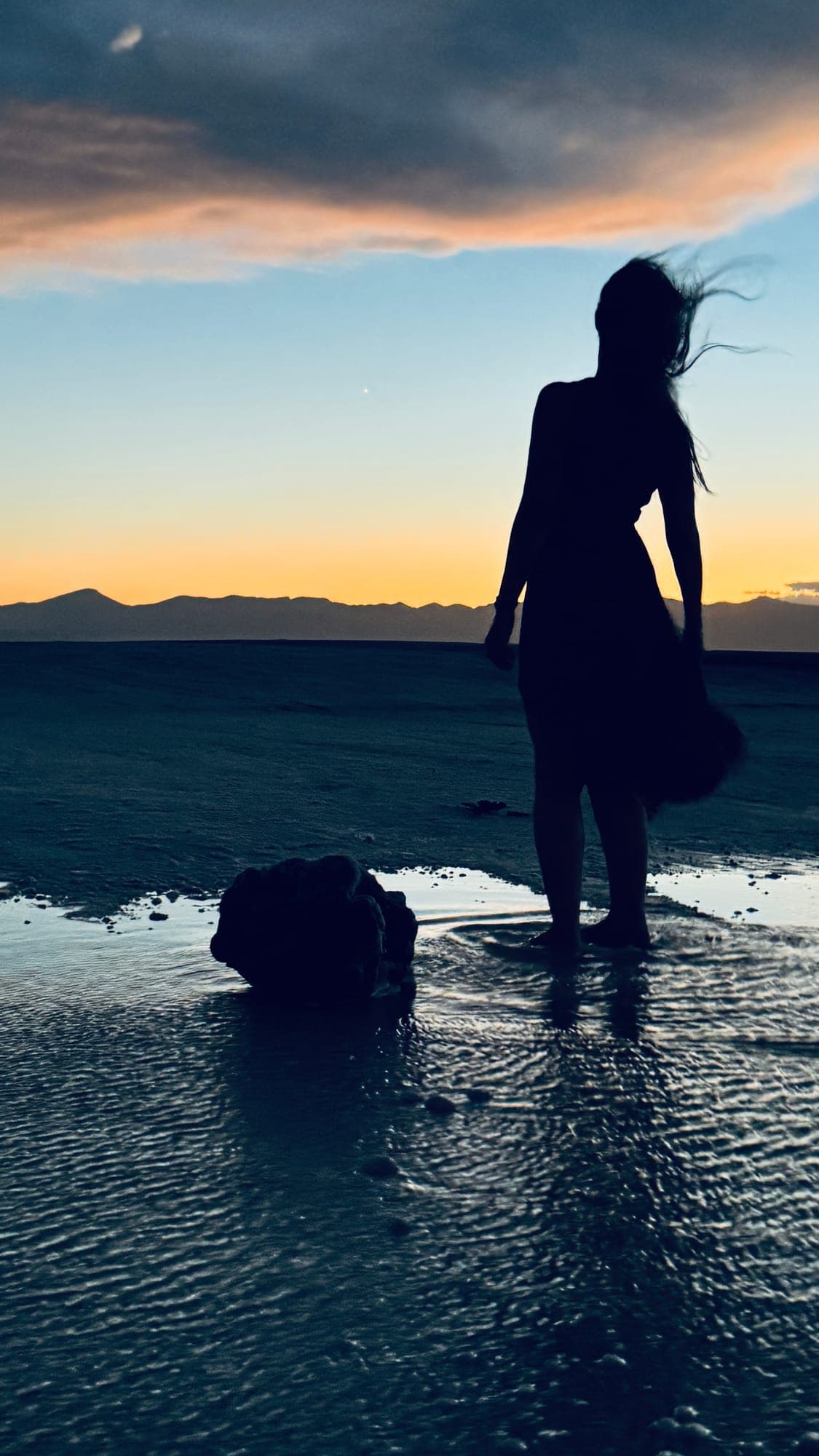 A figure at the shoreline at dusk, reflected in wet sand