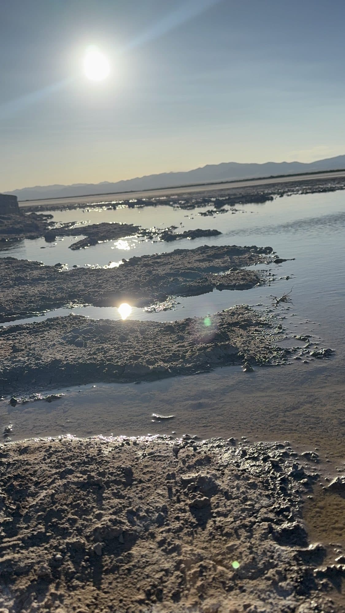 The sun low over a still shore