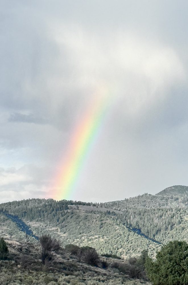 A rainbow falling onto green hills under a grey sky