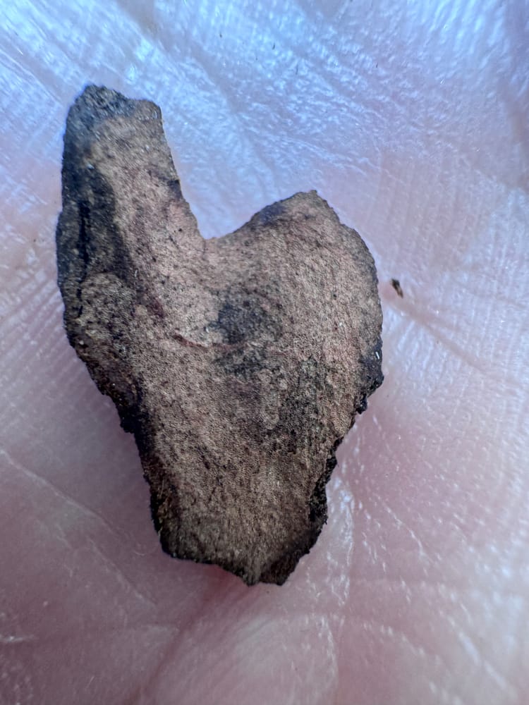A small heart held in an open palm